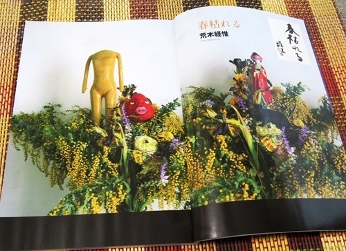 カメラ雑誌の「日本カメラ」が5月号で休刊: ギャラリー静河