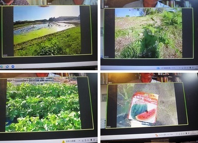 ▼②C農園名称未設定 1.jpg